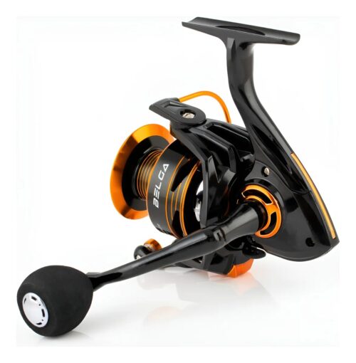 WhatsApp Image 2025-10-23 at 10.29.54 (6)