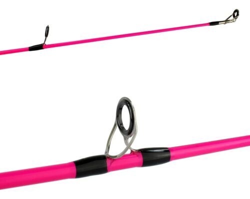 WhatsApp Image 2025-10-23 at 10.31.50