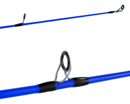 WhatsApp Image 2025-10-23 at 10.31.51